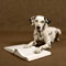 dog trainers naples florida