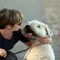 dog training naples florida, fort myers florida dog trainers