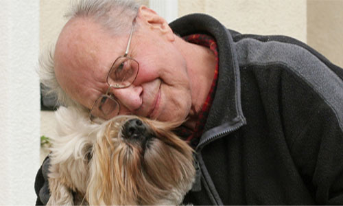 Wisconsin Academy for Graduate Service Dogs » Donate therapy dog training programs the dogs therapy dogs are owner trained ...